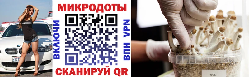 Псилоцибиновые грибы ЛСД  Купить где  Сельцо 